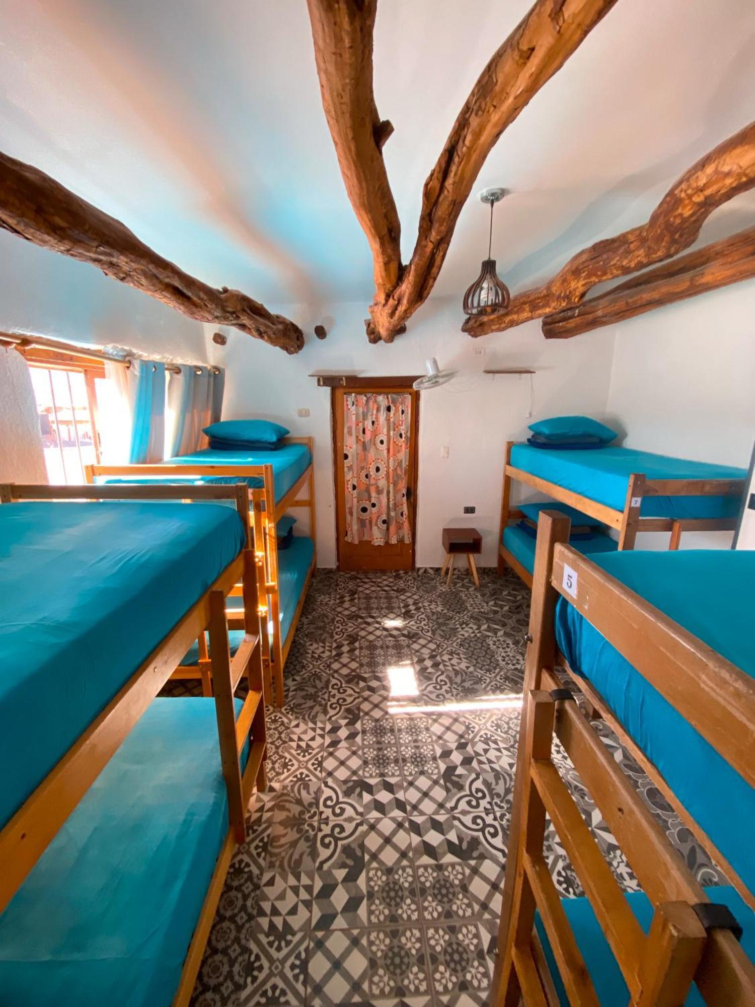 Rey Lagarto Hostel San Pedro de Atacama Eksteriør billede