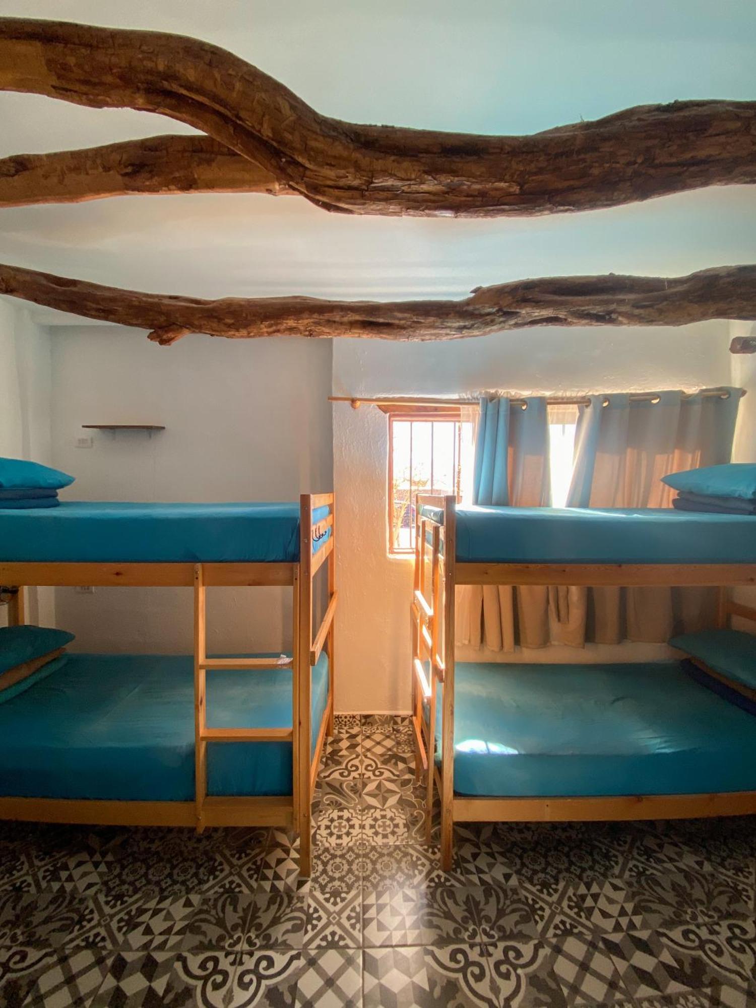 Rey Lagarto Hostel San Pedro de Atacama Eksteriør billede